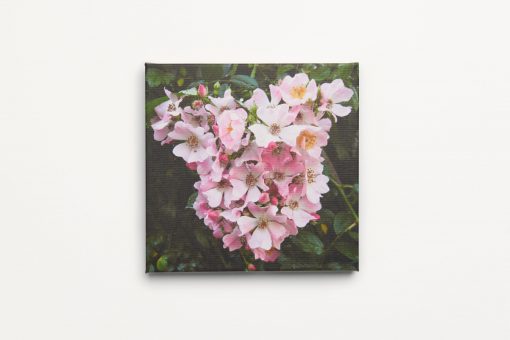 Roomblooms, Rambling Roses, Print on Canvas, 600X600mm. Express your love