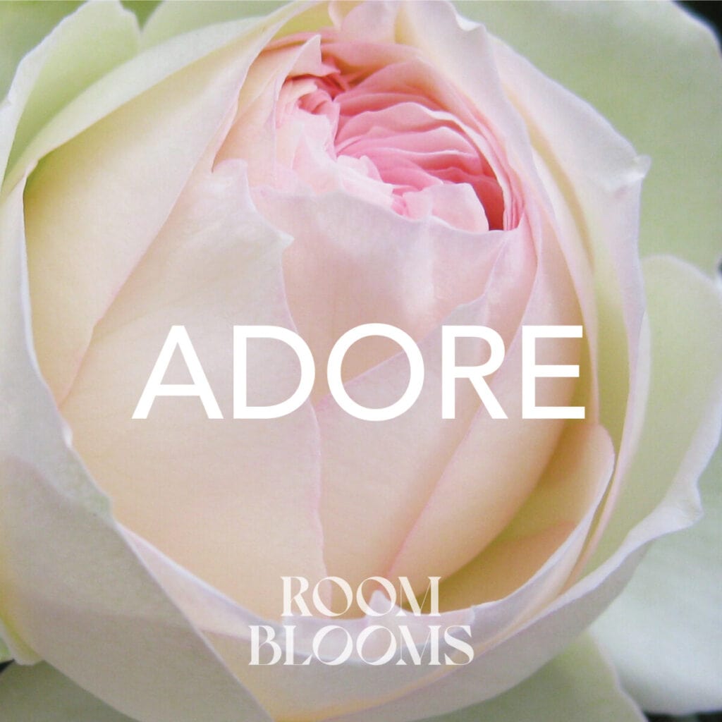 Roomblooms, Pink Rose Bloom, ADORE. Lord Byron, She Walks in Beauty, John Keats, Bright star would I were stedfast as thou art, Rabiʿa al-Basri, If I Adore You