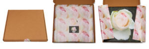 Roomblooms, Pink Rose Bloom, Print on Canvas, 300x300mm, Custom Packaging