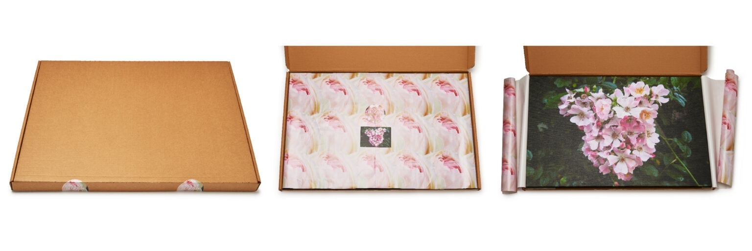 Roomblooms, Rambling Roses, Print on Canvas, 600x900mm, Custom Packaging